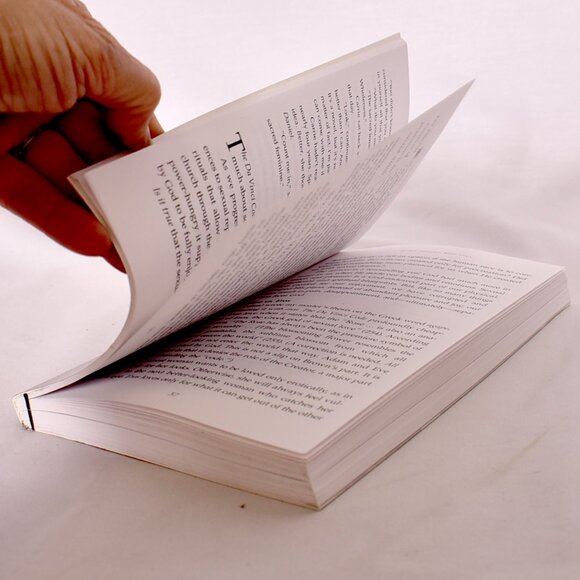 Cracking Da Vinci's Code by James L. Garlow & Peter Jones (2004, Paperback) - Picture 8 of 9